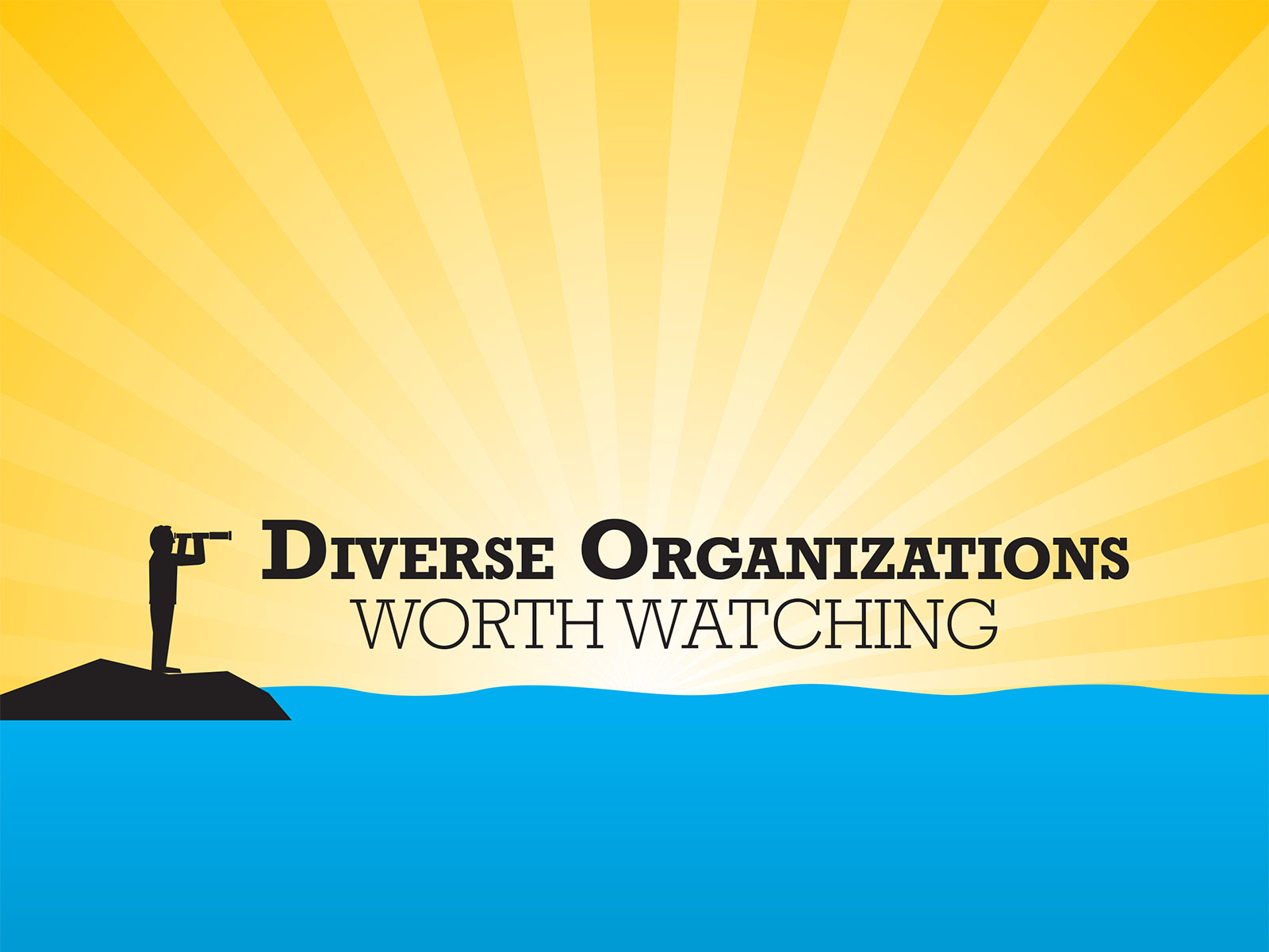 Diverse Organizations Worth Watching