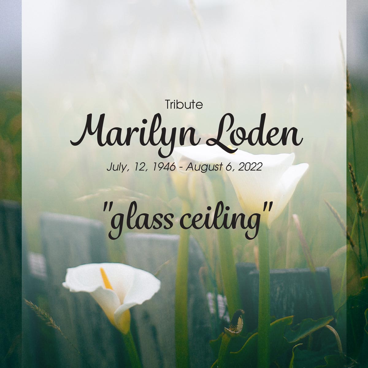 Tribute Marilyn Loden July, 12, 1946 - August 6, 2022 glass ceiling