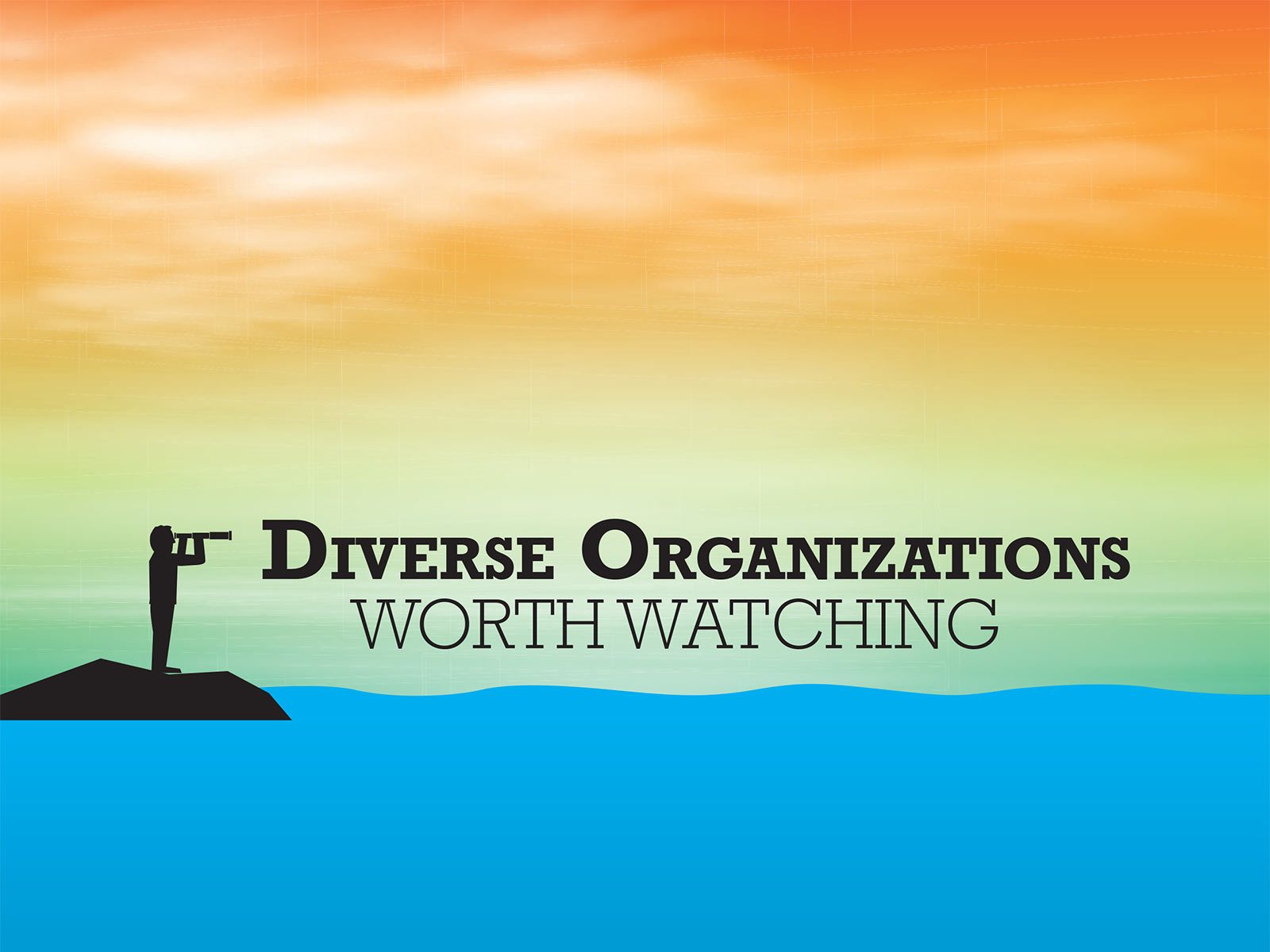Diverse Organizations Worth Watching